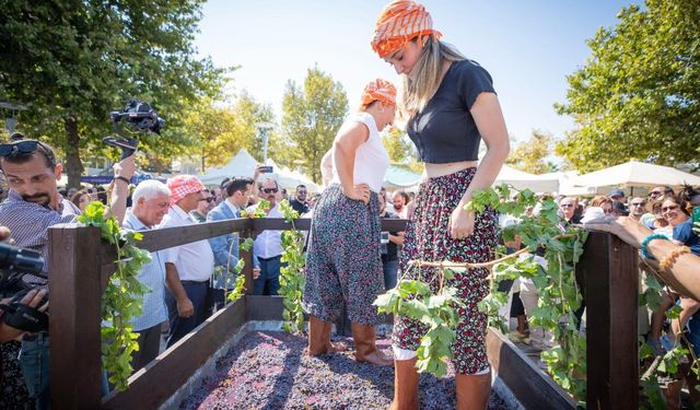 Urla’da 2.600 yıllık gelenek sürdürülüyor