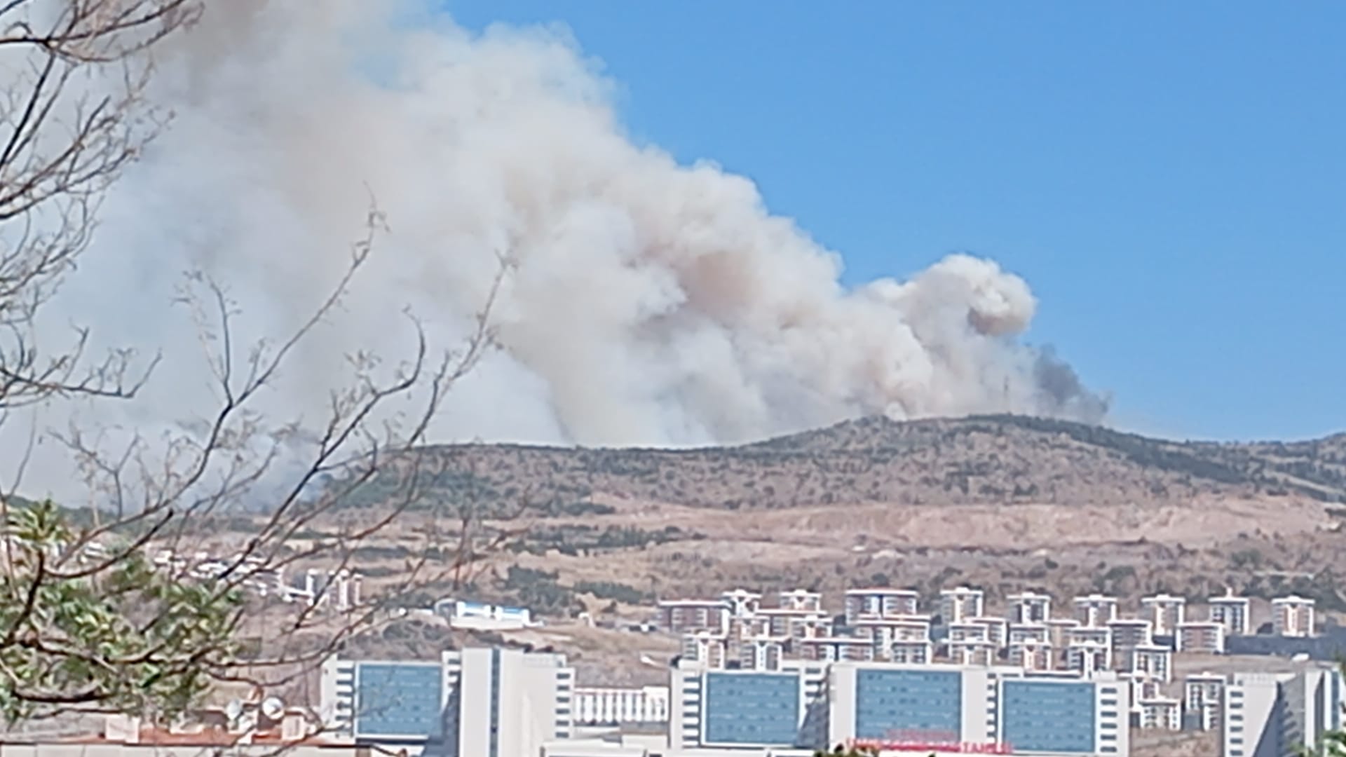 Orman Yangını Karşıyaka'yı Etkiliyor Elektrik Kesintileri Ve Kül Yağışı1