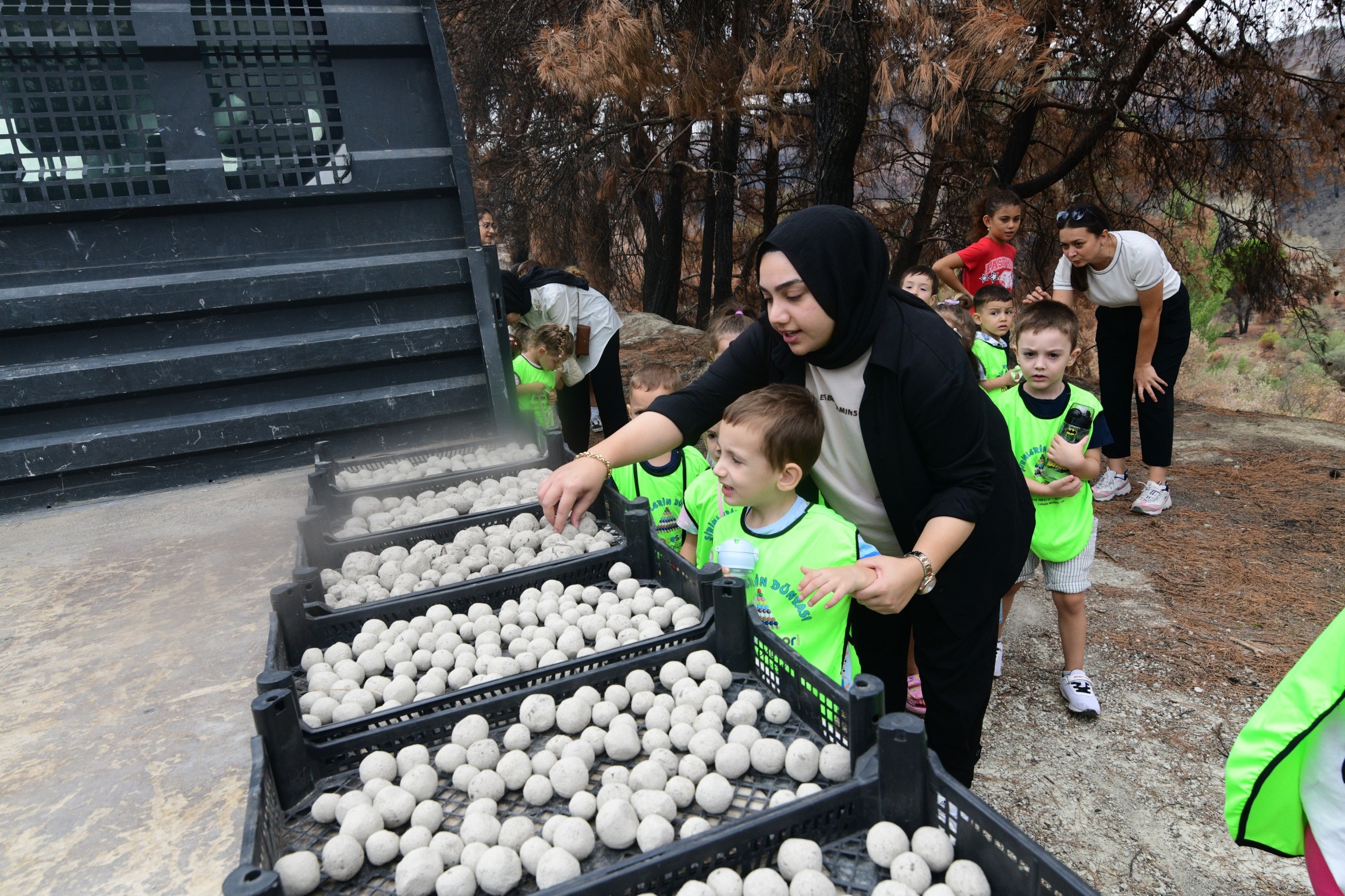 Anaokulu Öğrencileri Tohum Toplarıyla Yanan Ormanları Yeşillendiriyor!1