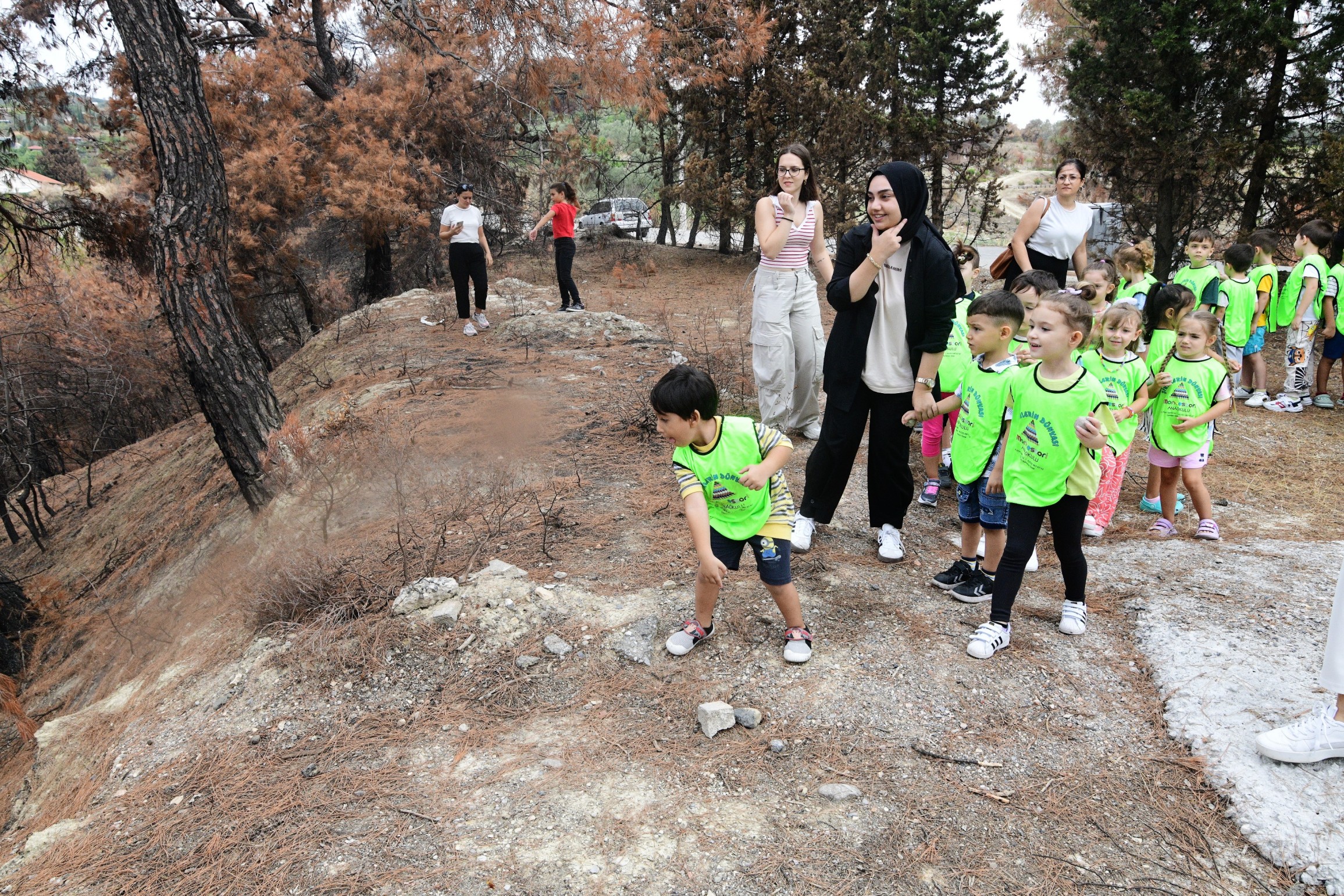 Anaokulu Öğrencileri Tohum Toplarıyla Yanan Ormanları Yeşillendiriyor!2